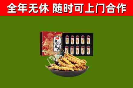 绥宁县烟酒回收冬虫夏草礼盒.jpg